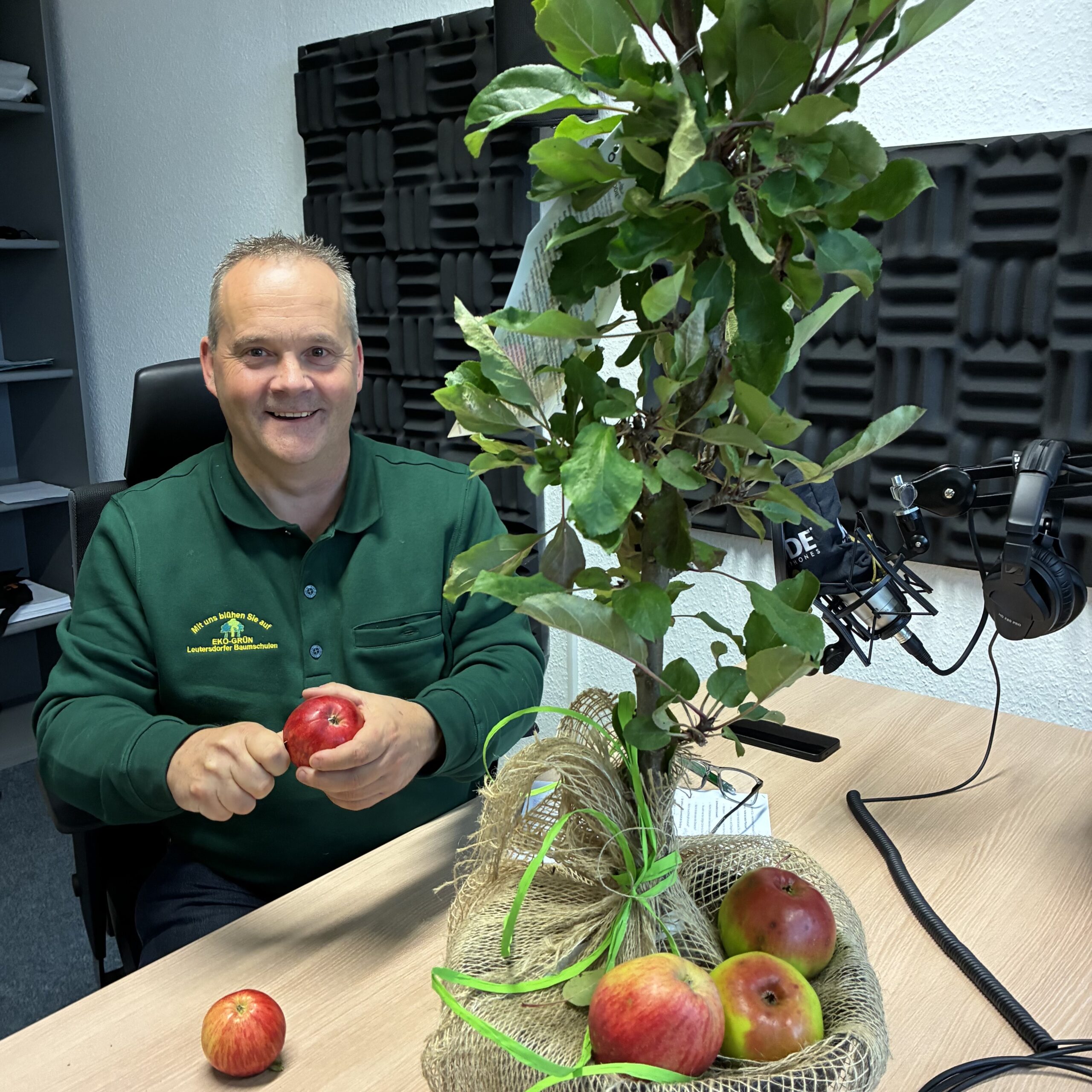 Von Äpfeln, Birnen & Co. – Herbstzeit ist Pflanzzeit im Naschgarten