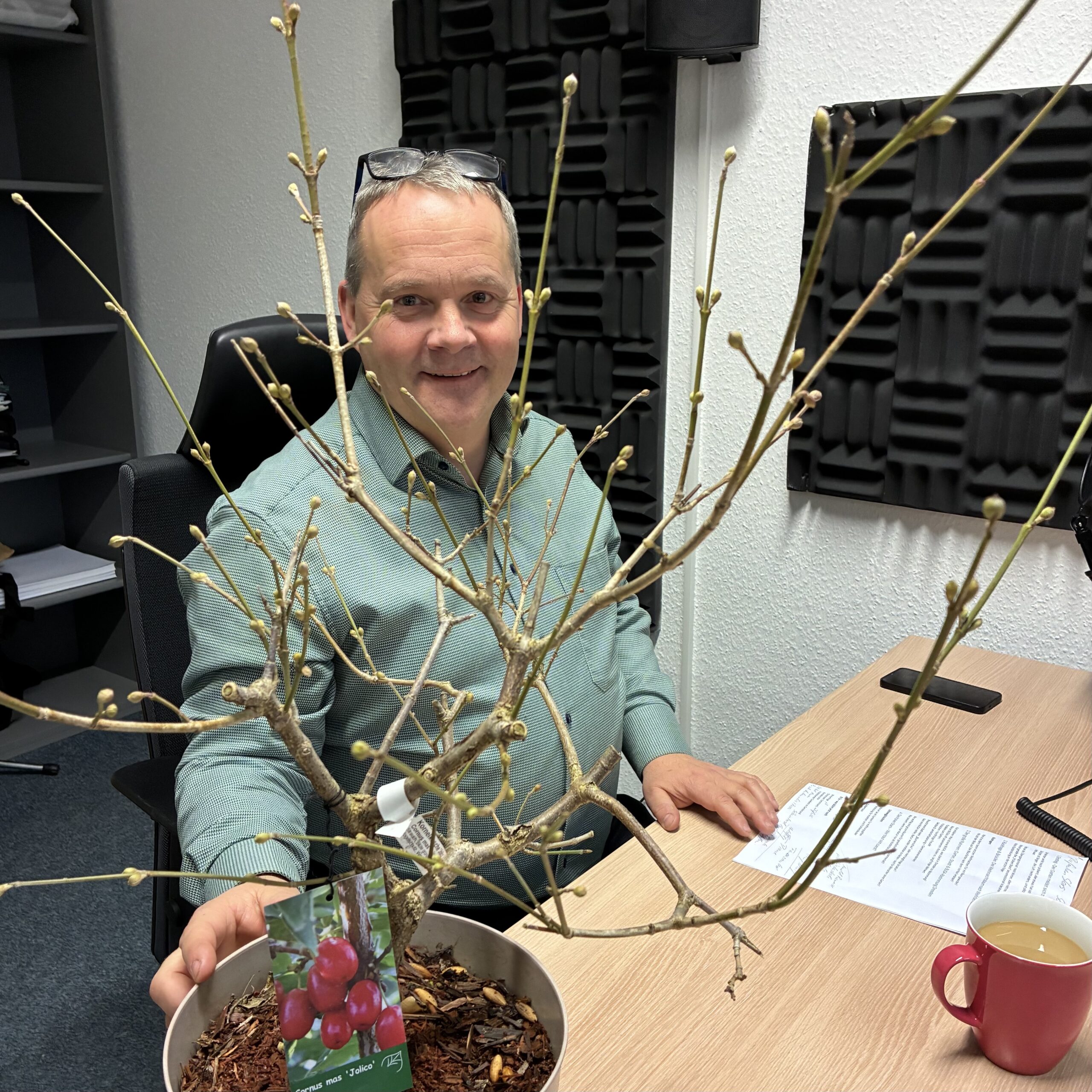 Der Garten meldet sich zurück