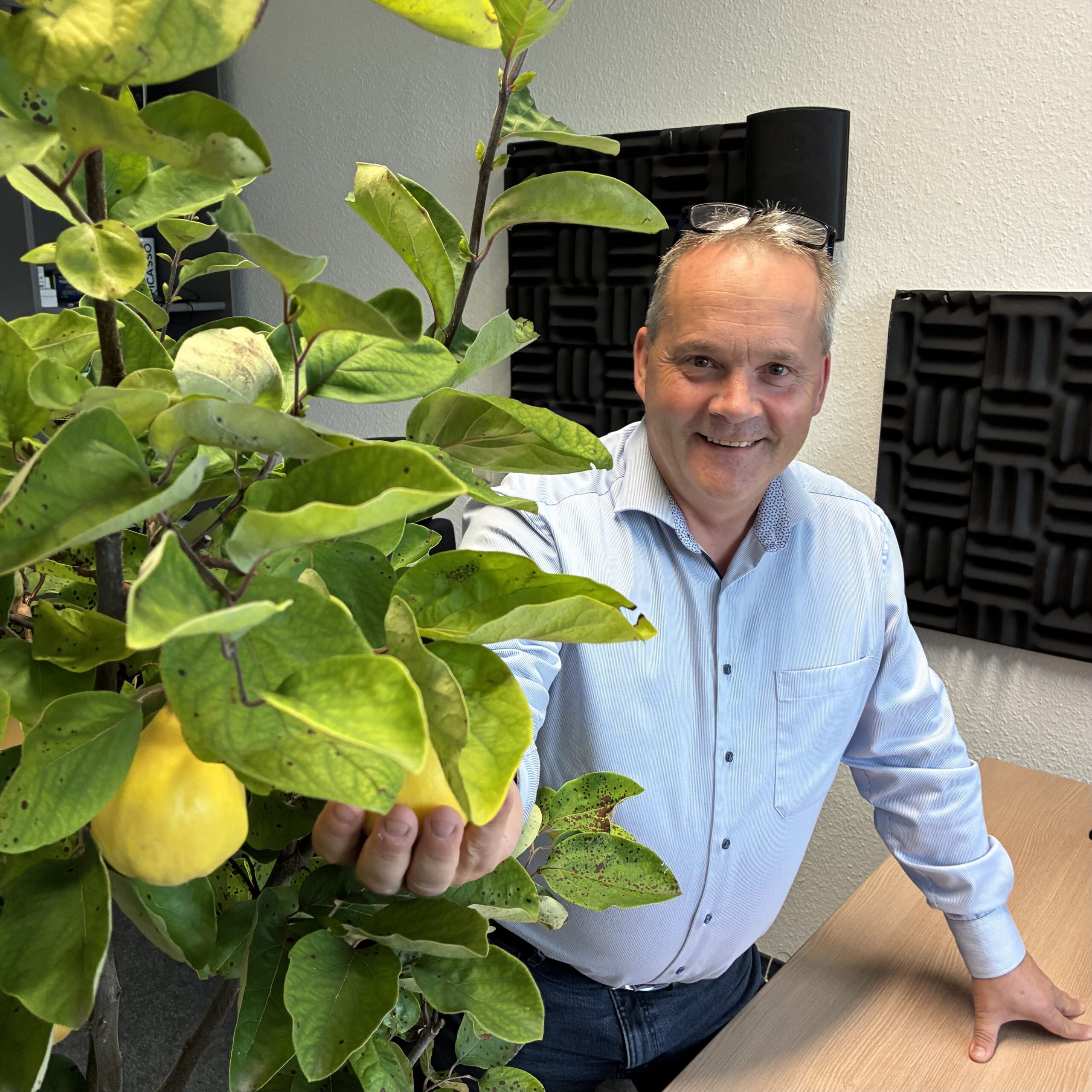 Obstbäume – eine Entscheidung für morgen